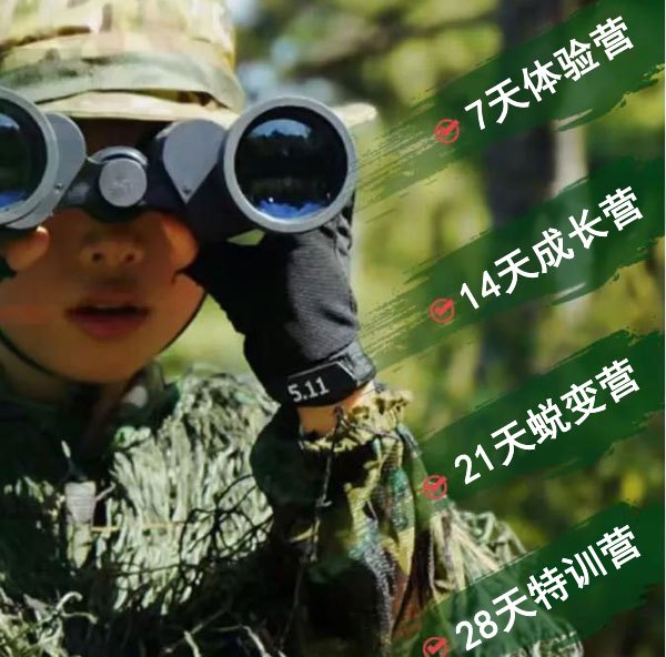 如何制定智能篮球训练计划_0